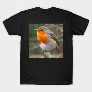 Red Red Robin T-Shirt